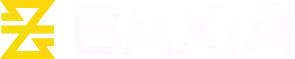 Baxia Markets logo footer