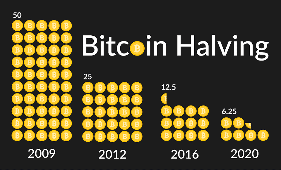 bitcoin halving diagram